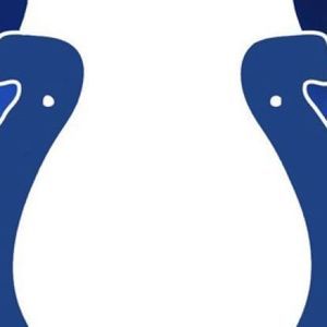 Meet your Posher, Bailey